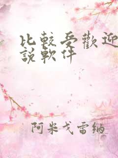 比较受欢迎的小说软件