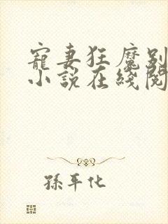 宠妻狂魔别太坏小说在线阅读