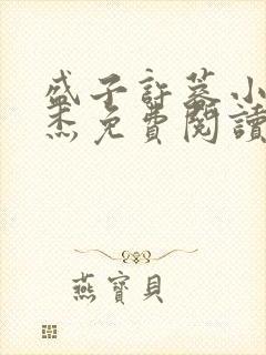 盛子许蓉小说小杰免费阅读全文