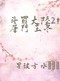 斗罗大陆2绝世唐门 王冬