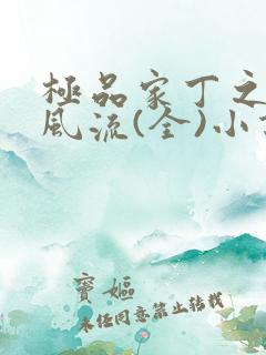 极品家丁之萧氏风流(全)小说