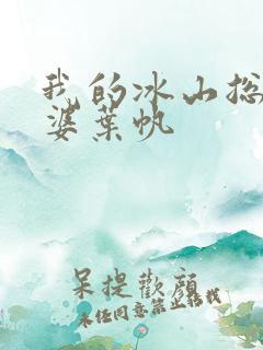我的冰山总裁老婆叶帆