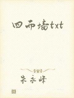 四面墙txt