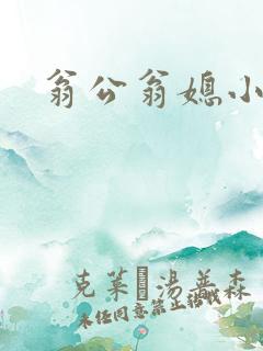 翁公翁媳小说