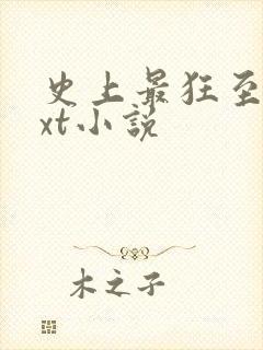 史上最狂至尊txt小说