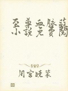 至尊血脉苏铭渊小说免费阅读