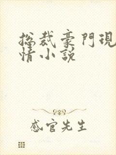 总裁豪门现代言情小说