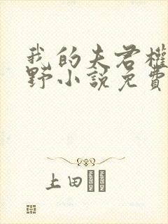 我的夫君权倾朝野小说免费阅读
