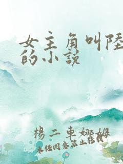 女主角叫陆清欢的小说