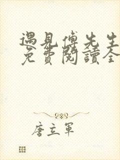 遇见傅先生小说免费阅读全文