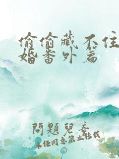 偷偷藏不住,新婚番外篇