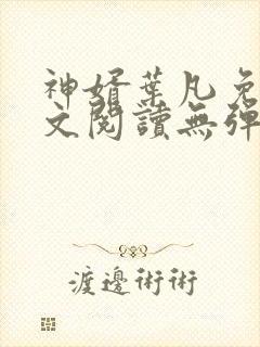 神婿叶凡免费全文阅读无弹窗