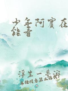 少年阿宾在哪里能看