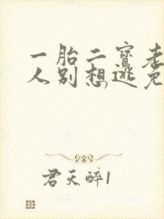一胎二宝老婆大人别想逃免费阅读