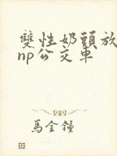双性奶头放荡受np公交车