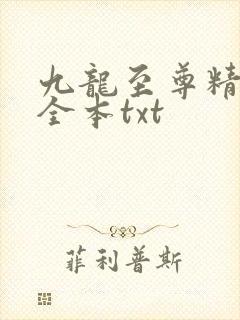 九龙至尊精校版全本txt
