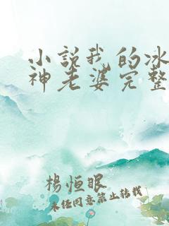 小说我的冰山女神老婆完整版