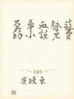 至尊血脉苏铭渊的小说免费