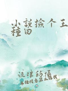 小说捡个王爷来种田