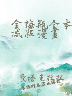 金梅瓶全本无删减版漫画