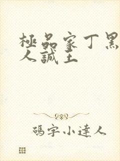 极品家丁黑暗同人诚王