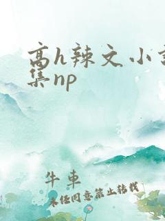 高h辣文小说合集np
