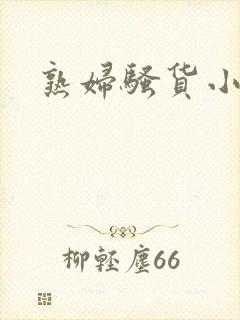 熟妇骚货小说