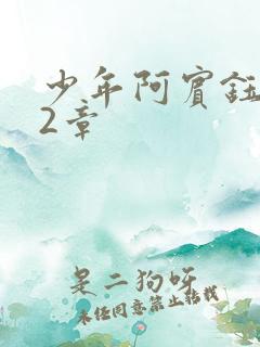 少年阿宾钰慧12章