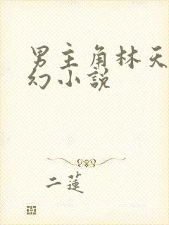男主角林天的玄幻小说