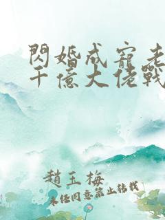 闪婚成宠老公是千亿大佬战胤海