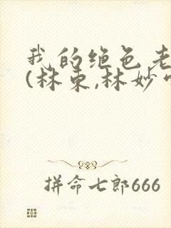 我的绝色老板娘(林东,林妙雪)