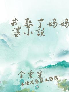 我娶了妈妈当老婆小说