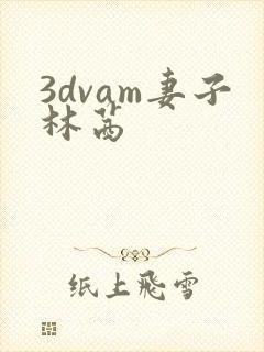 3dvam妻子林茜
