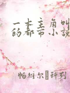 一本主角叫林天的都市小说