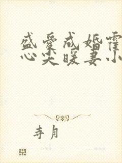盛爱成婚霍少的心尖暖妻小说