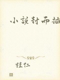 小说封面插图