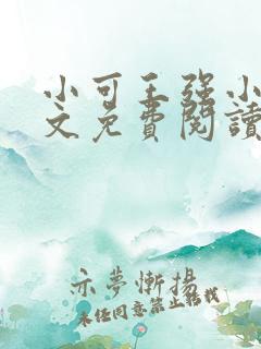 小可王强小说全文免费阅读