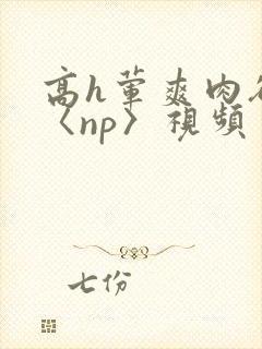 高h荤爽肉欲文〈np〉视频
