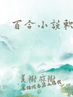 百合小说软件