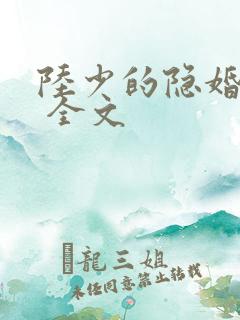 陆少的隐婚罪妻 全文