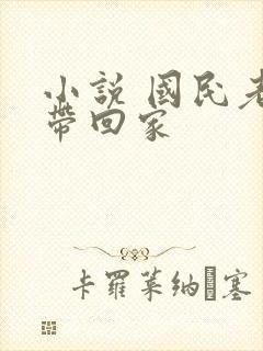 小说 国民老公带回家