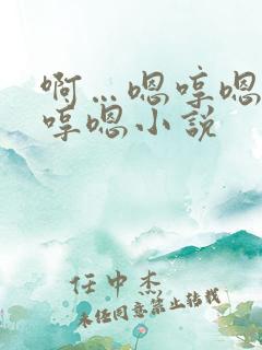 啊…嗯哼嗯哼嗯哼嗯小说