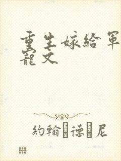 重生嫁给军人甜宠文