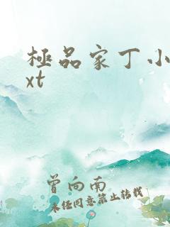 极品家丁小说txt