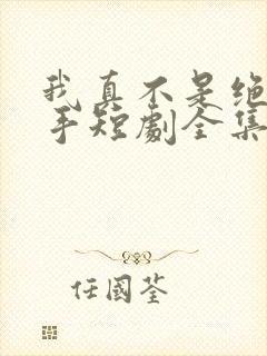 我真不是绝世高手短剧全集