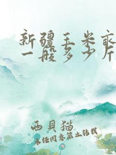 新疆玉米亩产量一般多少斤