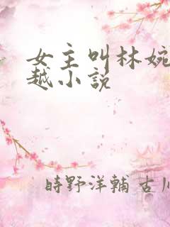 女主叫林婉婉穿越小说