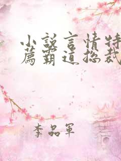 小说言情特色推荐霸道总裁