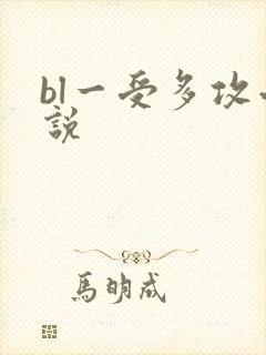 bl一受多攻小说