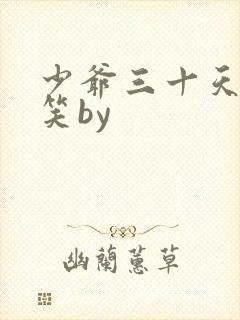 少爷三十天后会笑by